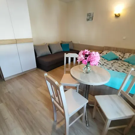 D.w. Danuska Habitación en casa particular Władysławowo