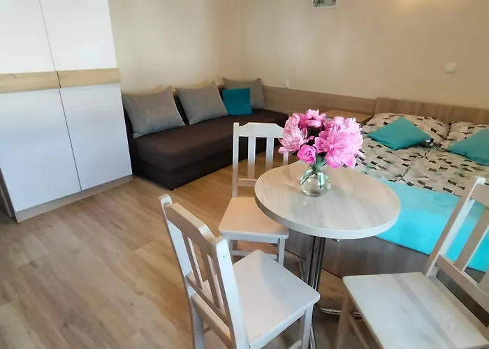 D.w. Danuska ホームステイ Władysławowo